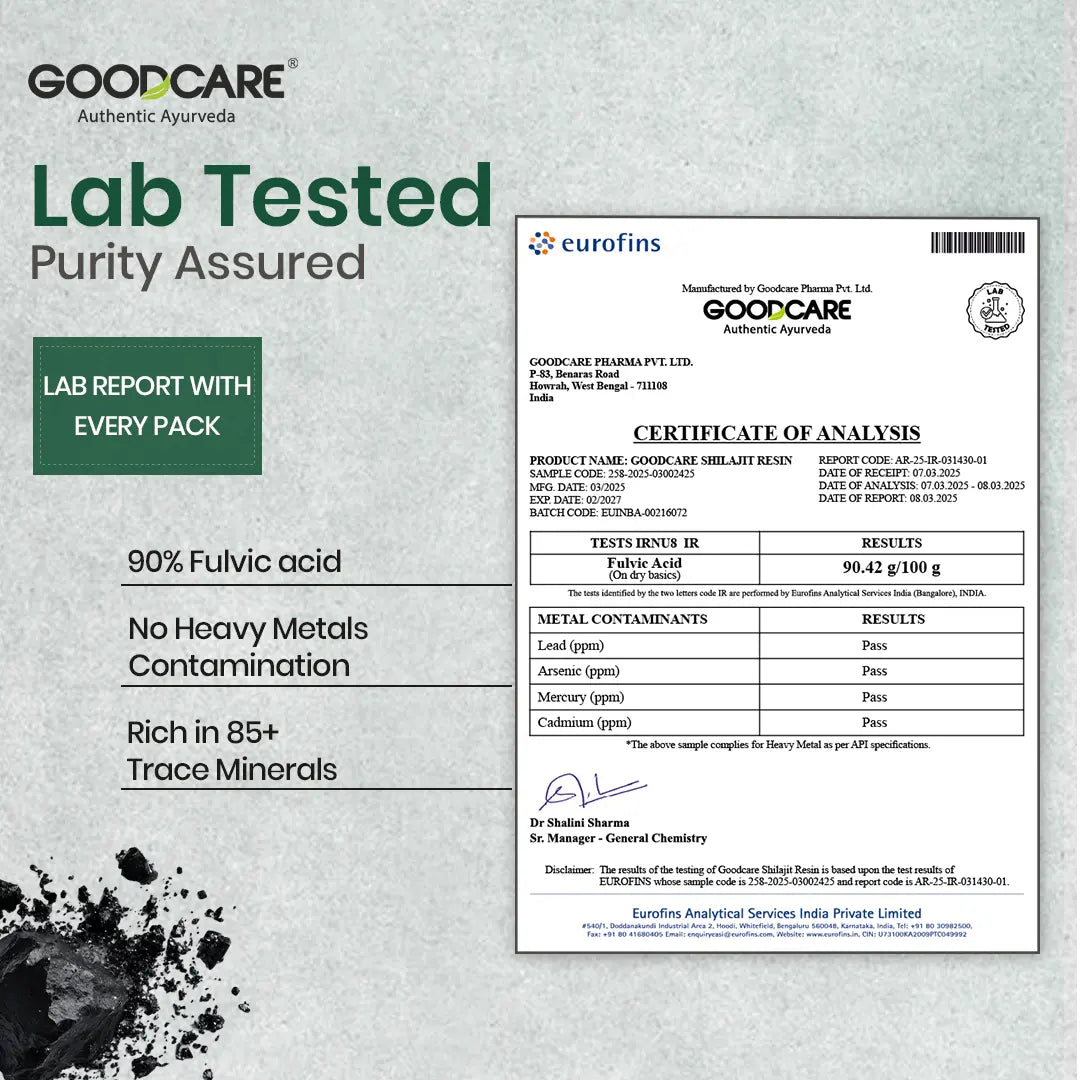 Goodcare Himalayan Shilajit Resin 20 gms
