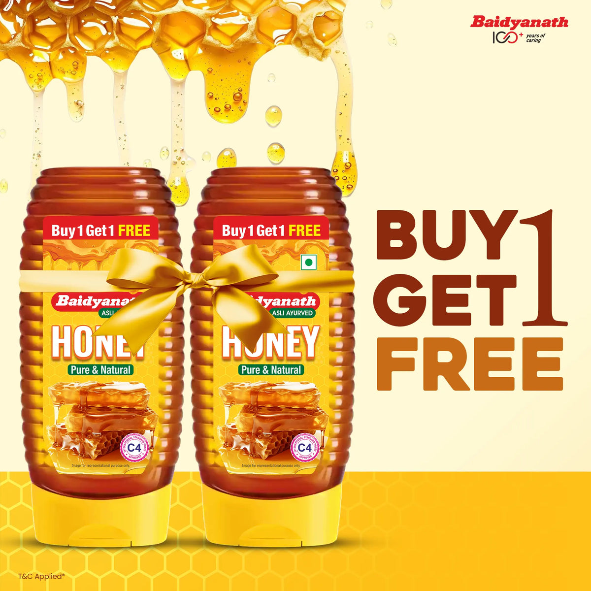 Baidyanath Squeezy Honey – Natural, C4 Approved Honey for Immunity & Wellness