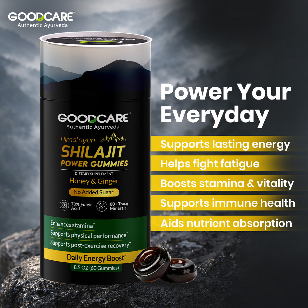 Baidyanath Goodcare Shilajit Power Gummies 60 – Energy, Stamina & Daily Wellness