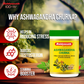 Baidyanath Ashwagandha Churna