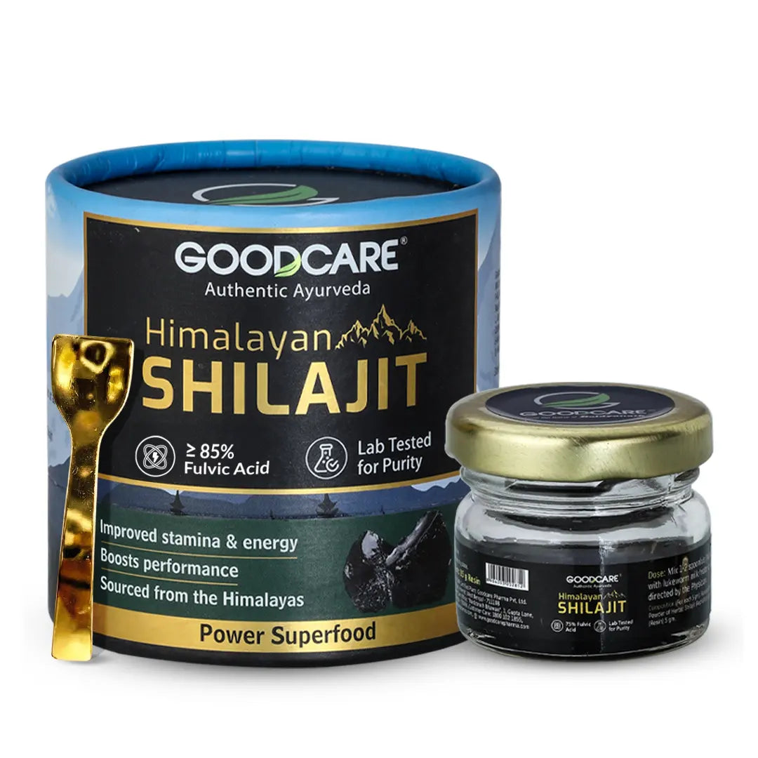 Goodcare Himalayan Shilajit Resin 20 gms