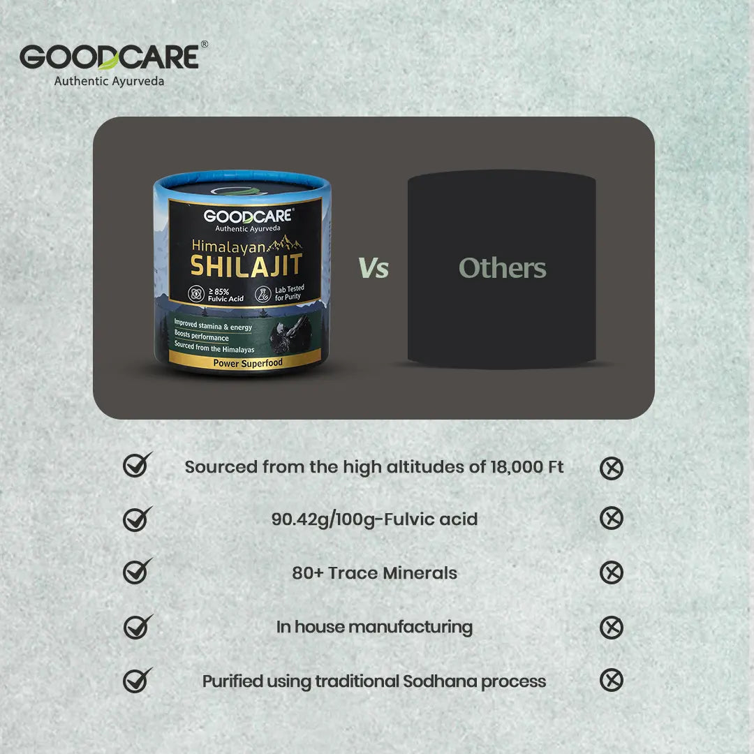 Goodcare Himalayan Shilajit Resin 20 gms