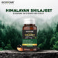 GOODCARE Himalayan Shilajit/Shilajeet Capsules - Boosts strength, stamina & immunity I Improves Vigor & Vitality - 60 Capsules