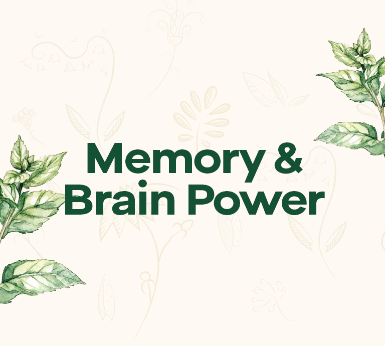 Memory & Brain Power