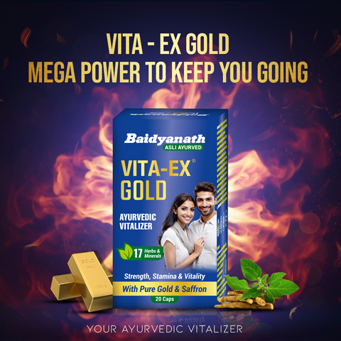 Baidyanath Vita-Ex Gold For Men