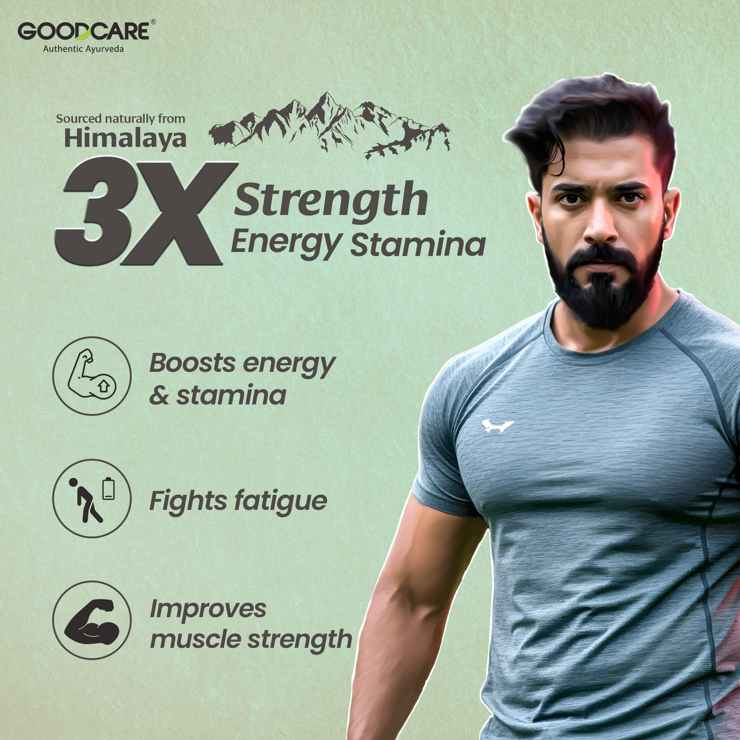 Goodcare Himalayan Shilajit Resin 15 gm