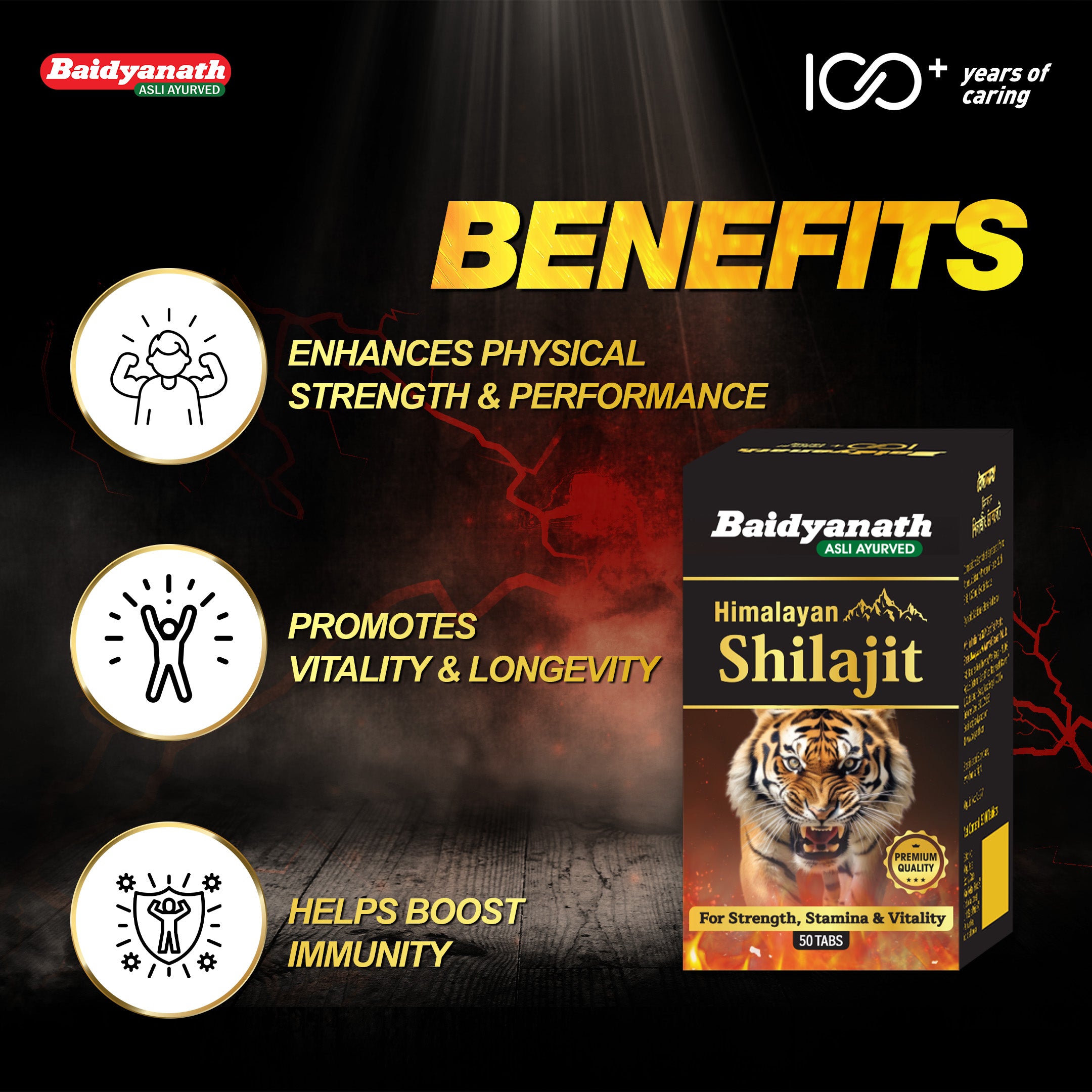 Baidyanath Himalayan Shilajit – Pure Strength & Stamina - 50 Tablets