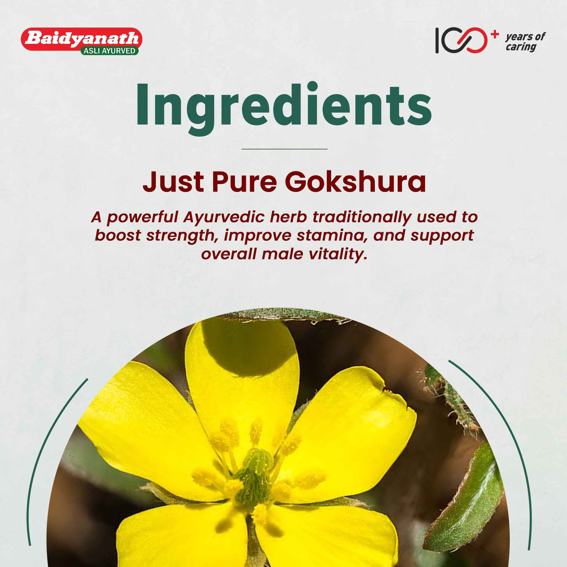 Baidyanath Gokshura 60 Tablets – Ayurvedic Men’s Wellness Support for Strength & Stamina