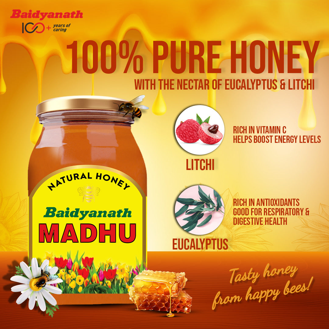 Baidyanath Madhu – Raw, Natural Honey with No Added Sugar - 500ml