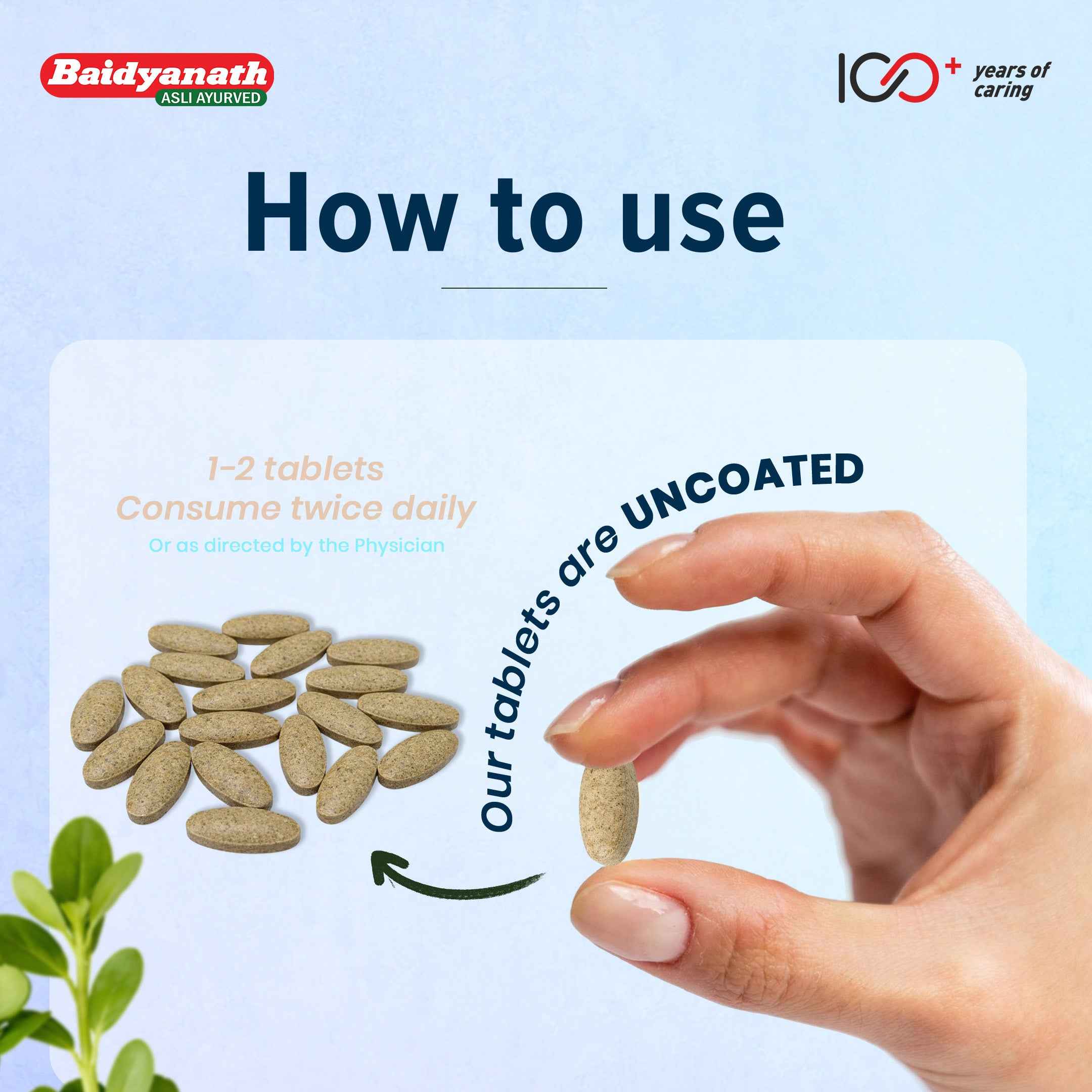 Baidyanath Brahmi 60 Tablets – Ayurvedic Brain Tonic for Focus & Memory