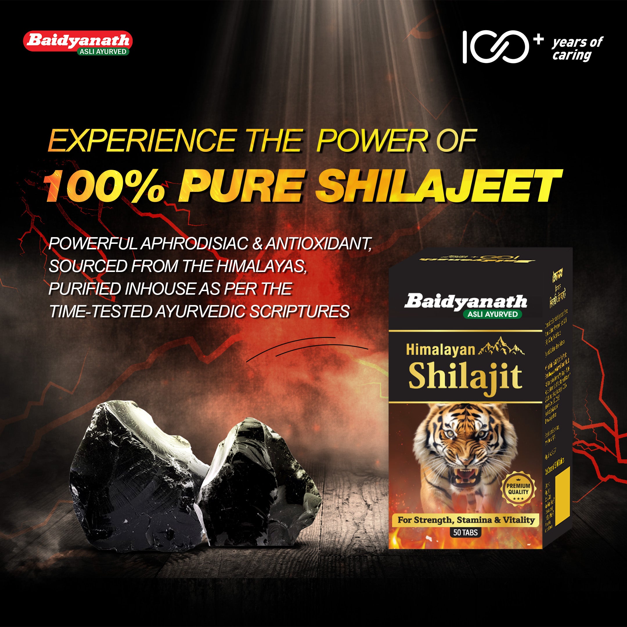 Baidyanath Himalayan Shilajit – Pure Strength & Stamina - 50 Tablets