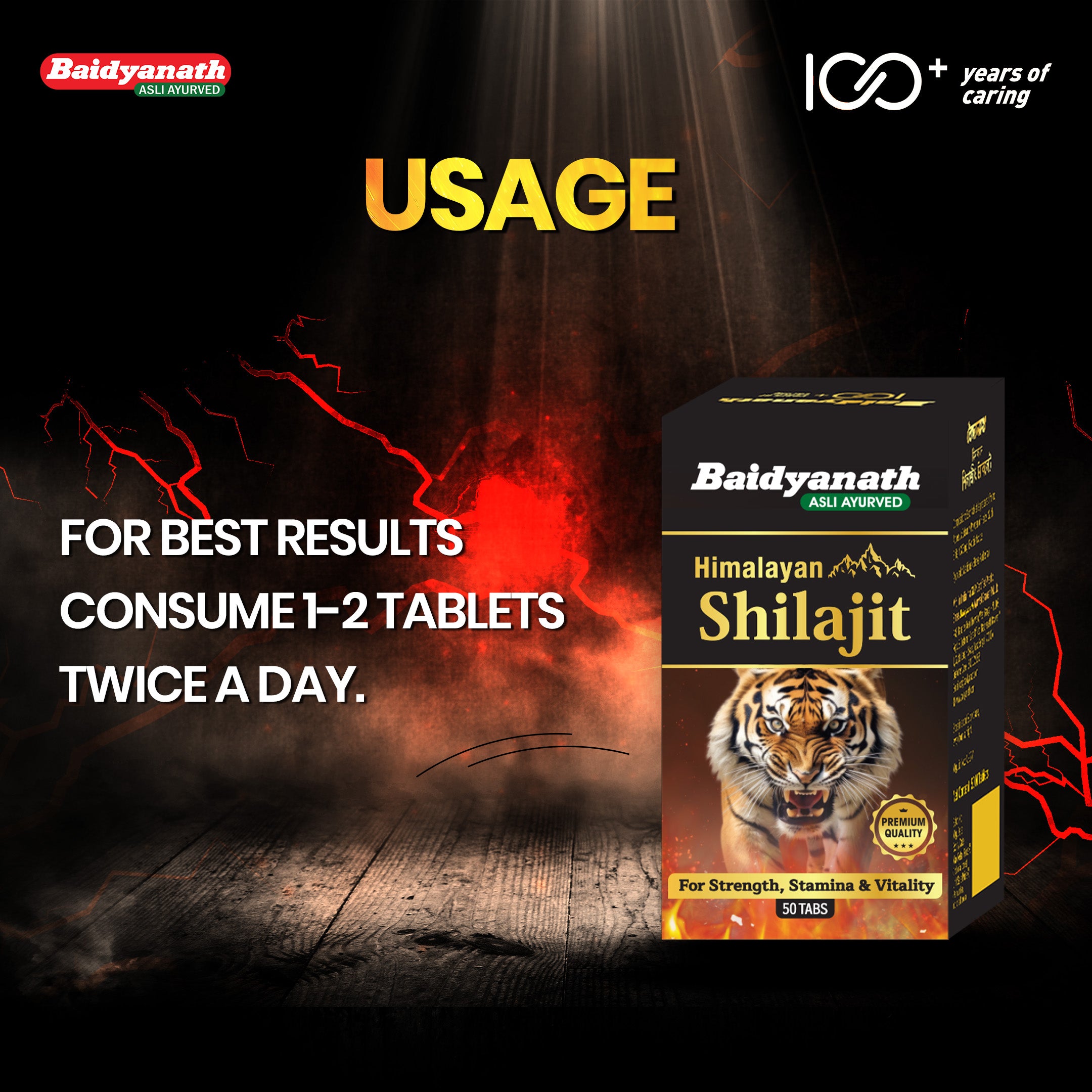 Baidyanath Himalayan Shilajit – Pure Strength & Stamina - 50 Tablets