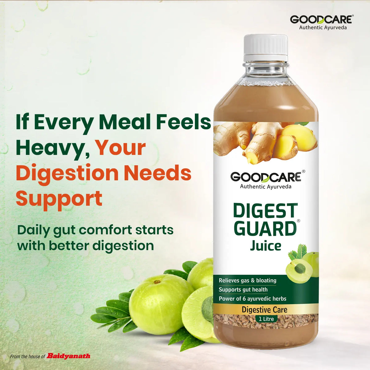 Goodcare Digest Guard Juice For Healthy Gut & Digestion