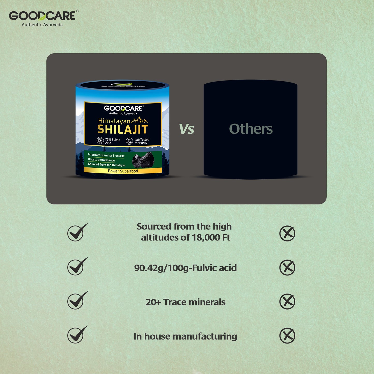 Goodcare Himalayan Shilajit Resin 15 gm