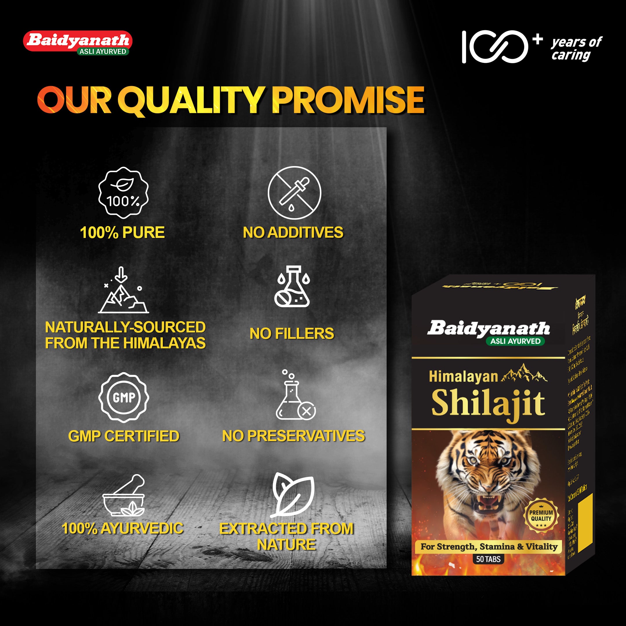 Baidyanath Himalayan Shilajit – Pure Strength & Stamina - 50 Tablets