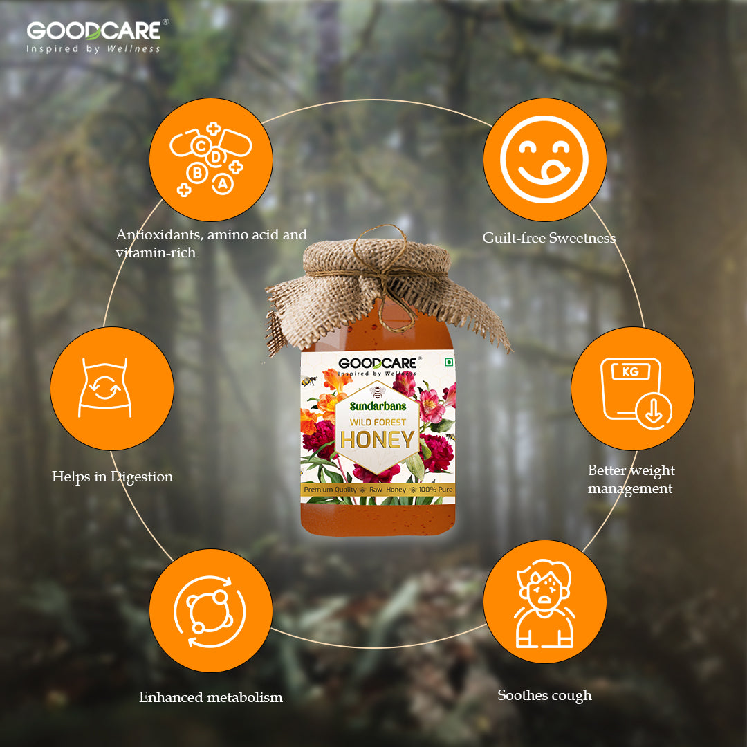 GOODCARE 100% Raw Pure and Natural, Unprocessed & Unpasteurized Honey | Value Pack- 500g