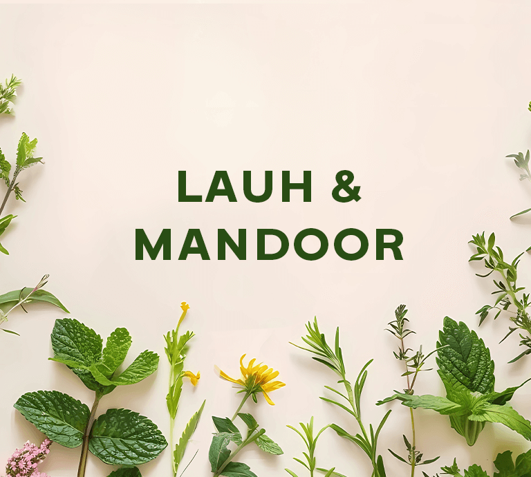 Lauh & Mandoor