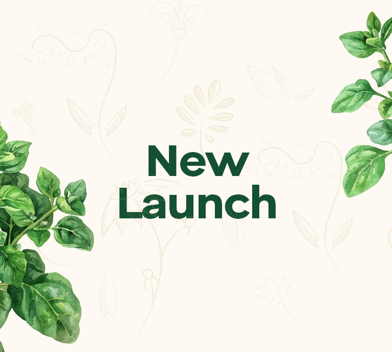 New Launch