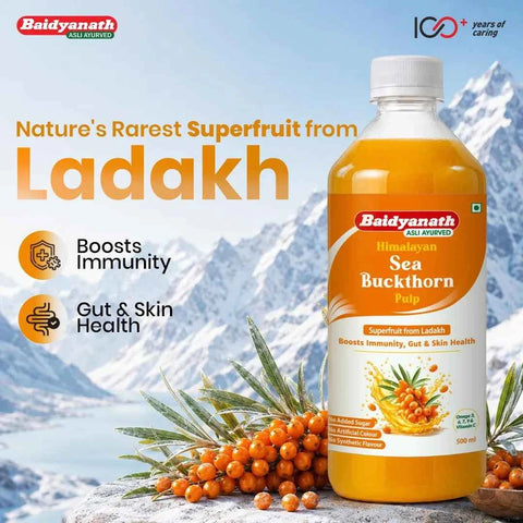 Baidyanath Himalayan Sea Buckthorn Pulp – 500 ml | Vitamin C & Omega 3, 6, 7 & 9